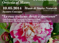 Rose italiane: ibridi e spontanee
